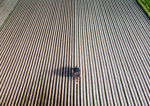 Agricultor Está Limpando Arados Campo Meio Verão Veículo Parece Muito — Fotografia de Stock