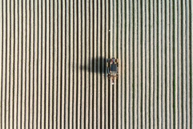 Bir traktör, arazinin düz tarlalarının yanından geçiyor. Bir çift martı, birkaç solucan yakalamak için fırsat kolluyor..