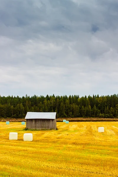 Barn And The Hay Rolls — Stock Photo, Image