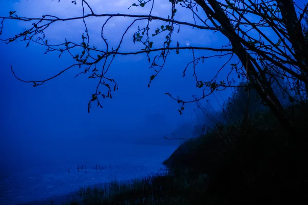 Malam Di Sungai — Stok Foto