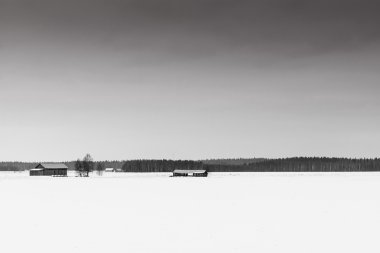 Karla kaplı alanlar