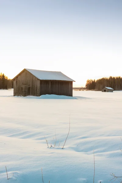 Lador i vinter soluppgången 3 — Stockfoto