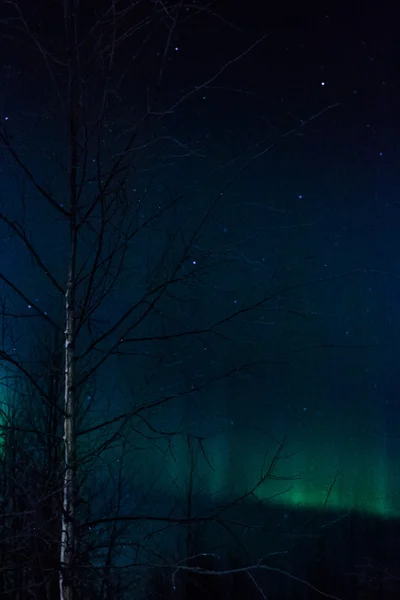 Aurora Boreal 2 — Foto de Stock