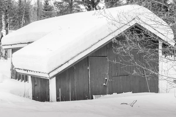 Coberto com neve 2 — Fotografia de Stock