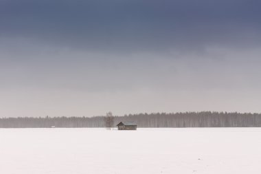 Ahır evler alanlarındaki bahar 3
