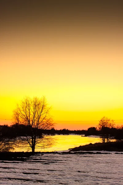 Gouden reflectie op rivier ijs — Stockfoto