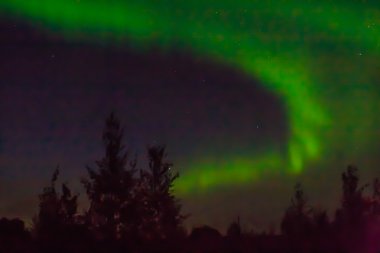 Aurora Borealis eğrisi