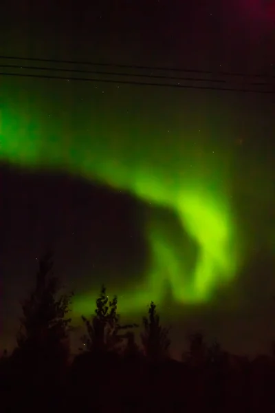 Aurora boreal e árvores — Fotografia de Stock