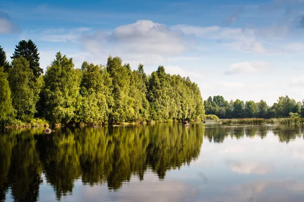 Tree Reflections On A River Bend — Stock Photo, Image