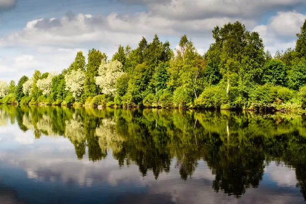 Forest Reflections On The River — Stock Photo, Image