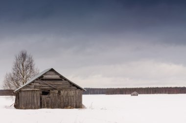 İki kulübeler ve huş ağacı