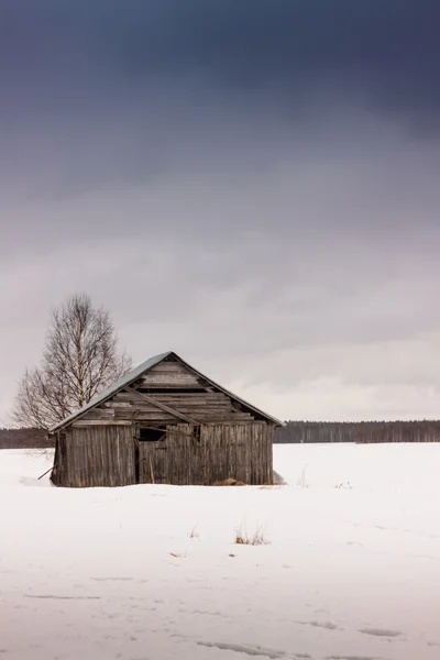 Ahır ve huş ağacı