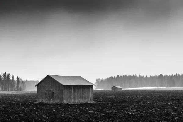 Snöstorm över fälten våren — Stockfoto