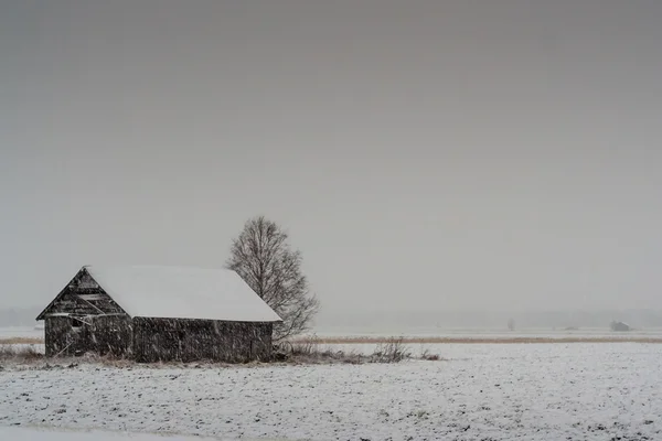 Tunga snöfall på fälten — Stockfoto