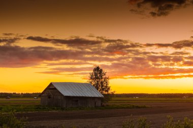 Golden Sunset bulvarında alanları
