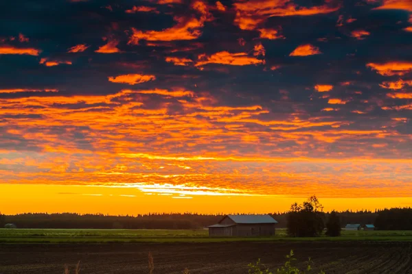 Günbatımı ve alanları buğu