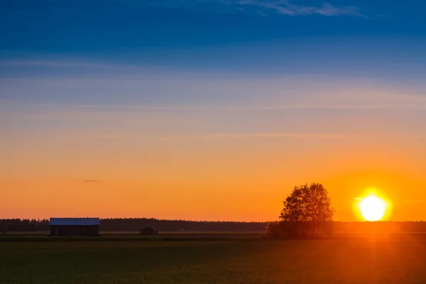 Sunset On The Fields — Stock Photo, Image
