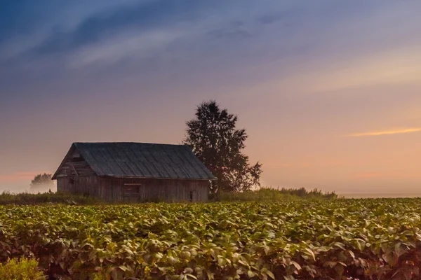 Barn In The Mist — Stock Photo, Image
