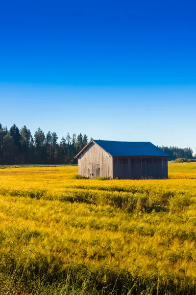 Scheunenhaus auf den Herbstfeldern — Stockfoto