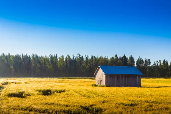 Scheune in der Morgensonne — Stockfoto