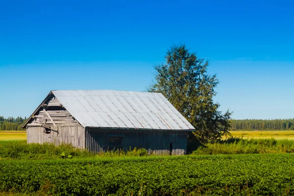 Scheune am Kartoffelacker — Stockfoto