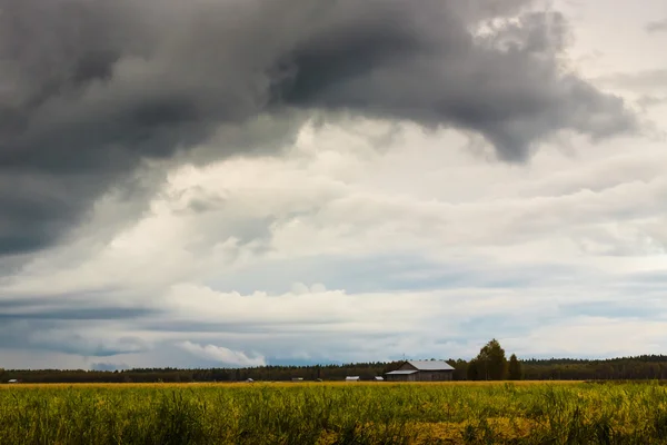Sturm auf den Feldern — Stockfoto