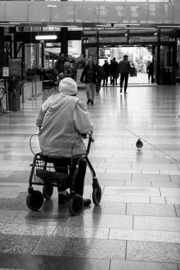 Yaşlı bir kadın ve bir güvercin alışveriş merkezinde buluşuyorlar gibi görünüyor..