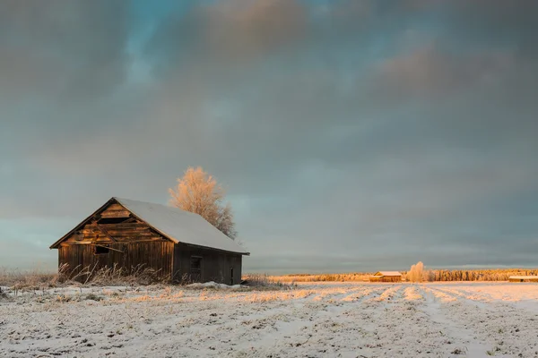 Wintersonne auf dem alten Scheunenhaus — Stockfoto