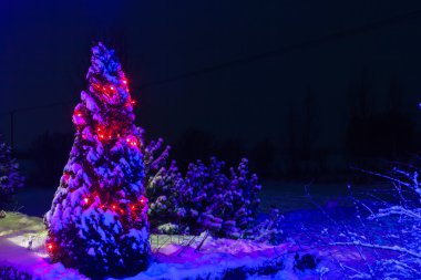 Işıklı Noel ağacı