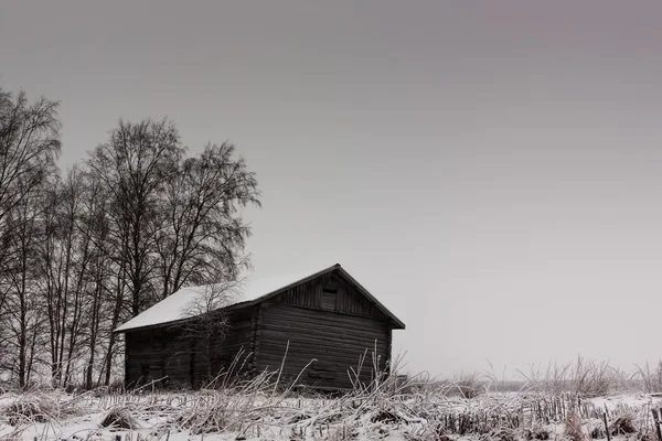 Winter auf den Feldern — Stockfoto