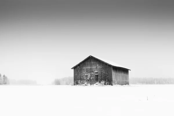 Одинокий сарай на морозном поле — стоковое фото