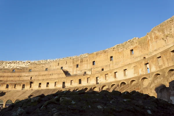 Colosseum amfi - Roma — Stok fotoğraf