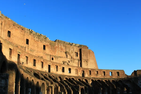 Colosseo Anfiteatro - Roma — Foto Stock