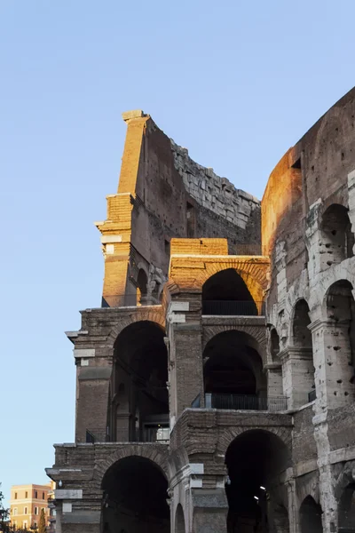Colosseum amfi - Roma — Stok fotoğraf