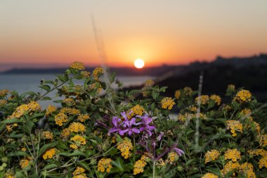 Günbatımı üzerinde deniz ve dağlar ve çiçek - Sicilya, İtalya