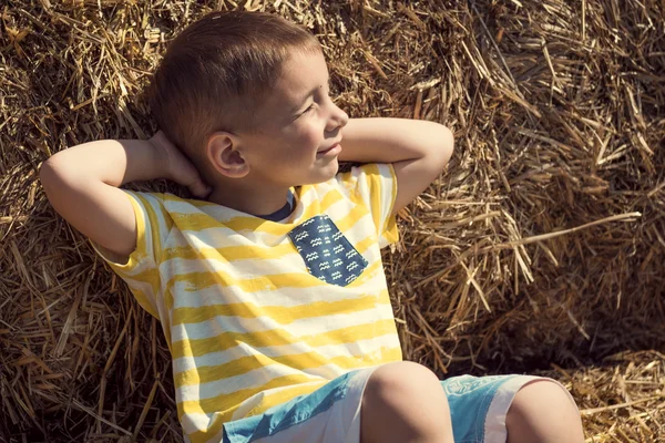 Retrato de um menino feliz no feno — Fotografia de Stock