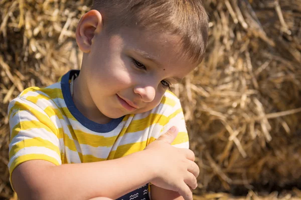 Portrait of a happy little boy in the hay — Stock Photo, Image