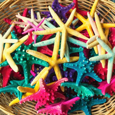 Deniz yıldızı - Hediyelik eşya