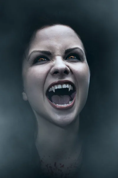 Vampir. Fotoğraf portre.