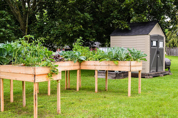Accessible community garden beds and shed in a suburban public park