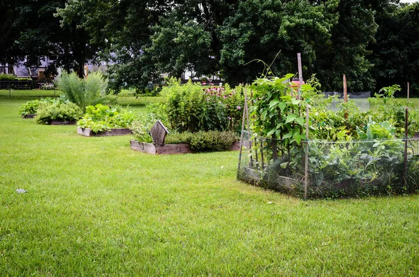 Angled Row of Community Garden  Beds in a suburban public public