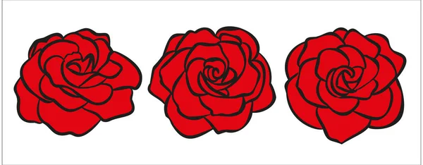 Rosa flor ilustración dibujada a mano para el logotipo — Vector de stock