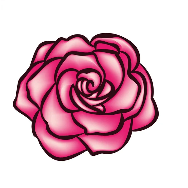 Rosa flor ilustración dibujada a mano para el logotipo — Vector de stock