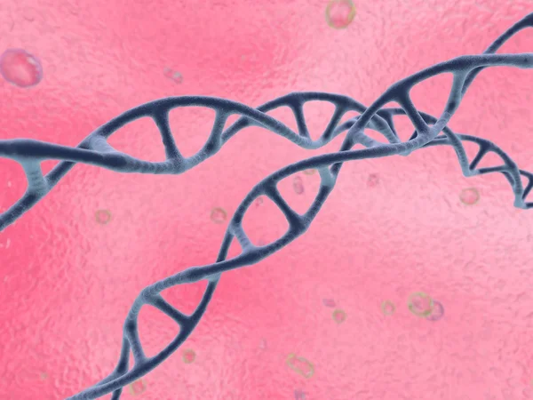 Enkel dna spiraler — Stockfoto