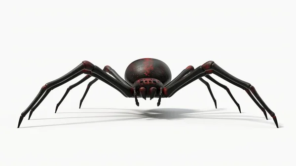 Black Spider Red Skin Details Suitable Horror Halloween Arachnid Insect — Stock Photo, Image