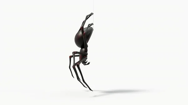 Κρεμασμένη Μαύρη Αράχνη Κόκκινες Λεπτομέρειες Δέρματος Κατάλληλο Για Θέματα Τρόμου — Φωτογραφία Αρχείου