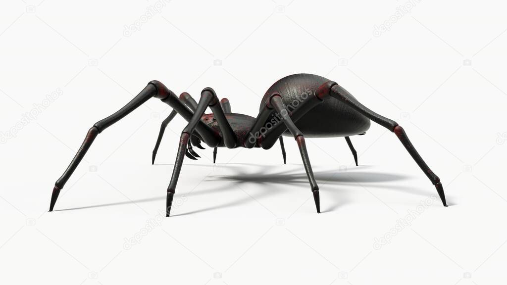 black spider with red skin details. suitable for horror, halloween, arachnid and insect themes. 3D illustration, side view