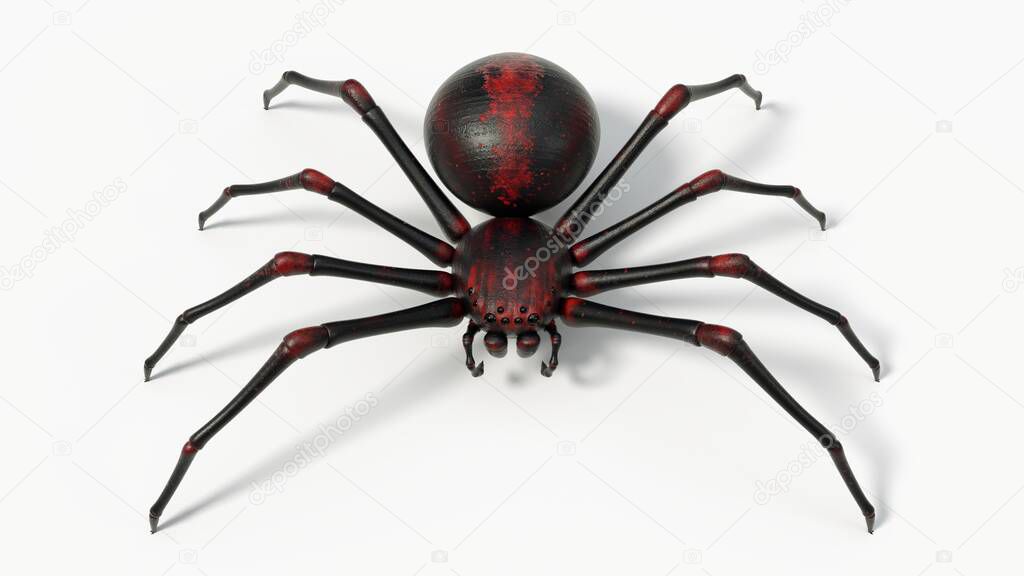black spider with red skin details. suitable for horror, halloween, arachnid and insect themes. 3D illustration with white background.