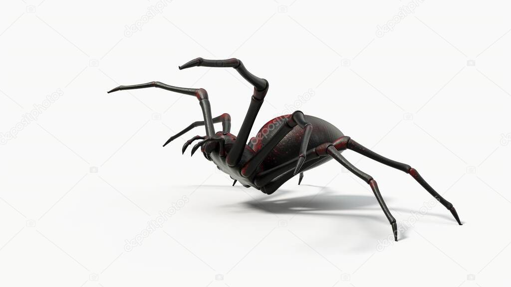 Atacking black spider. suitable for horror, halloween, arachnid and insect themes. 3D illustration, side view