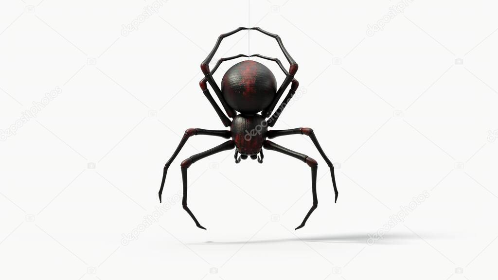 hanging black spider. with red skin details. suitable for horror, halloween, arachnid and insect themes. 3d illustration, front view